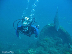 DIVE BUDDIES ?    Taken on the Russian Freighter
Pensaco... by Greg Bleakley 